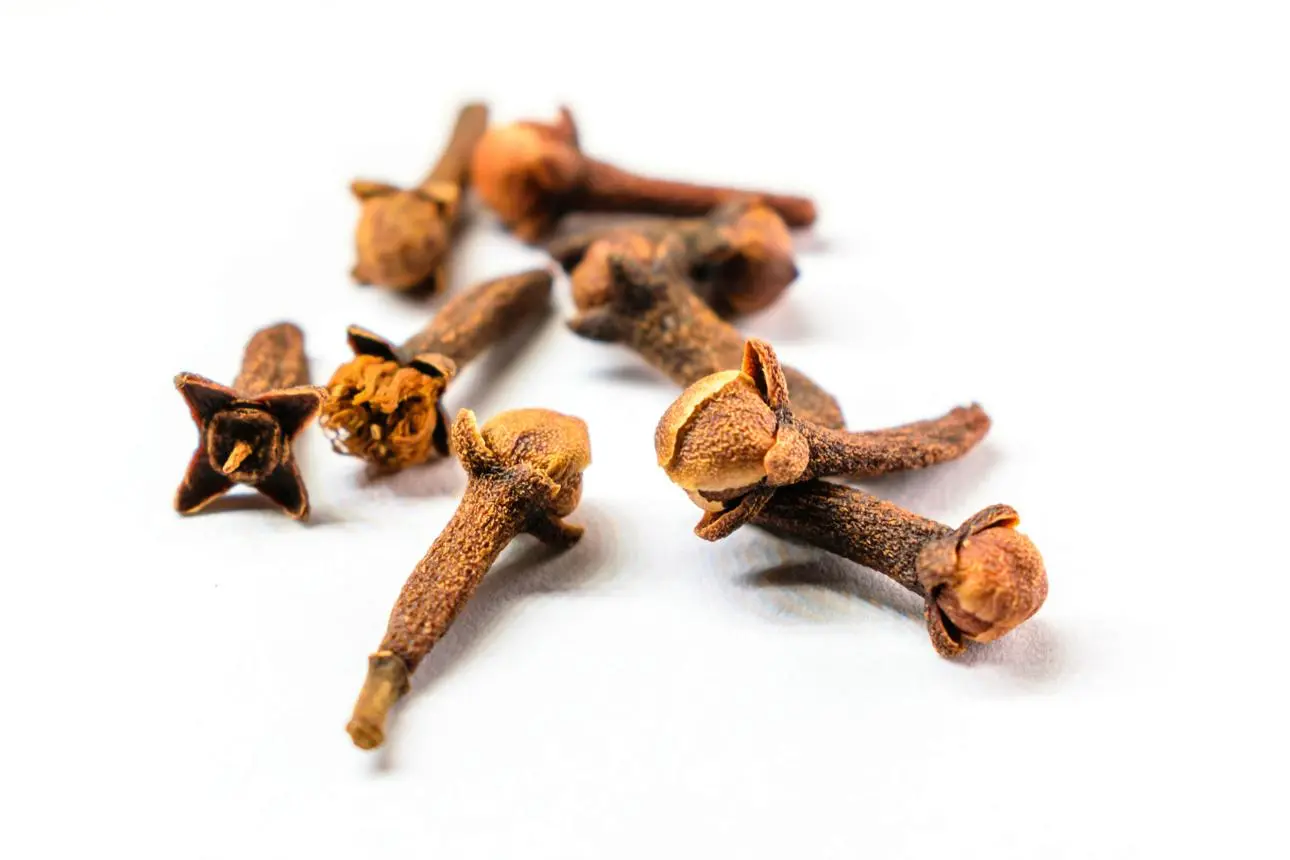 Clove